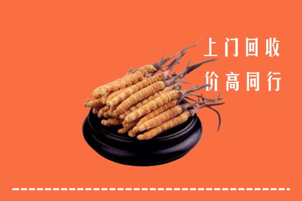 高价求购：吕梁中阳回收散虫草