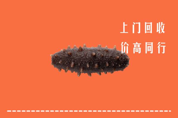 高价求购：吕梁中阳回收海参