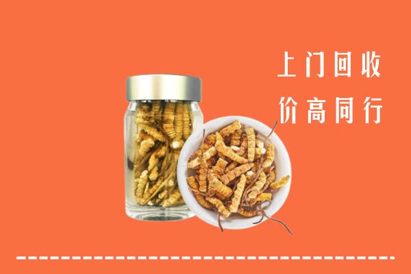 吕梁中阳回收冬虫夏草
